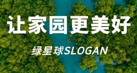 绿星球GP主要项目与活动