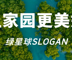 绿星球GP主要项目与活动