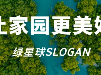 绿星球GP主要项目与活动