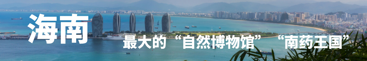 海南岛