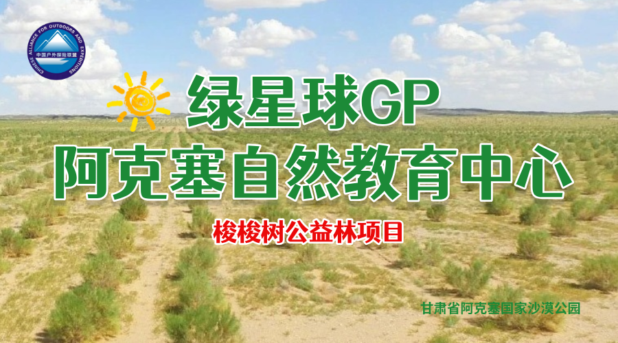 阿克塞公益林.png